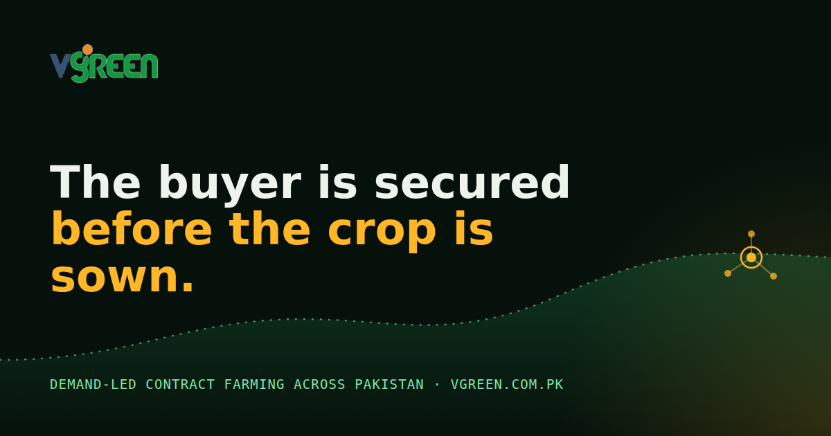 Company Background Â· VGreen