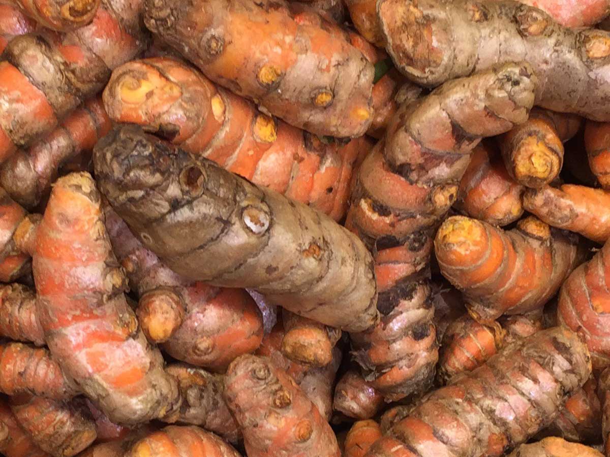 Turmeric