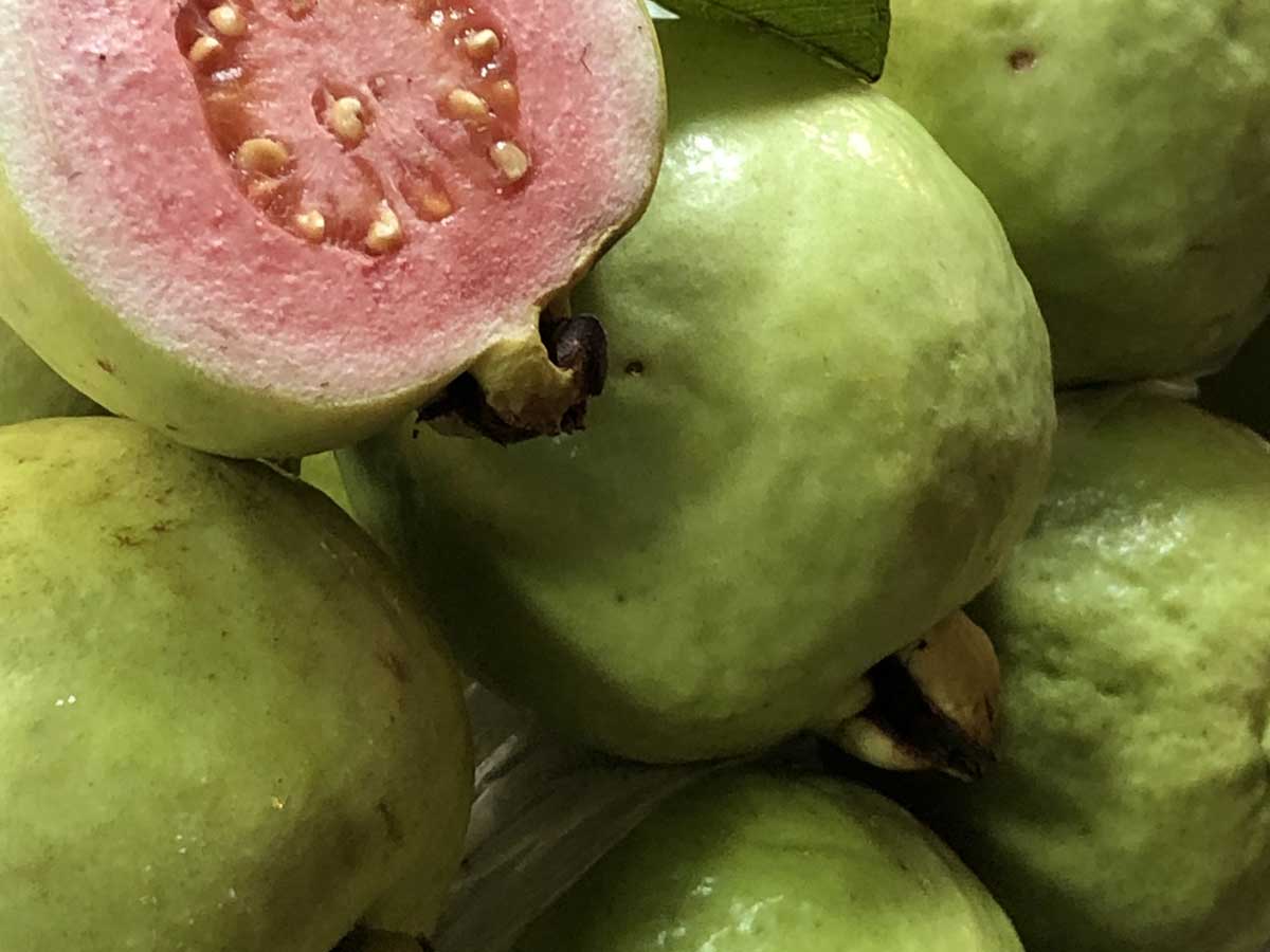 guava