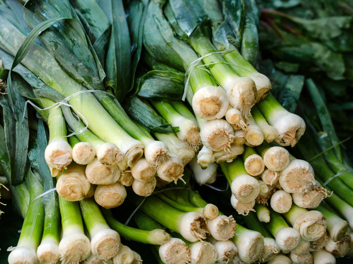 leeks